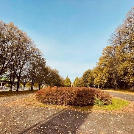 Apartamenty Ktw Silesia City Center - Park Slaski Катовице Экстерьер фото